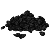 Jintan Hitam
