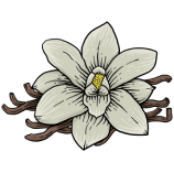 Vanili